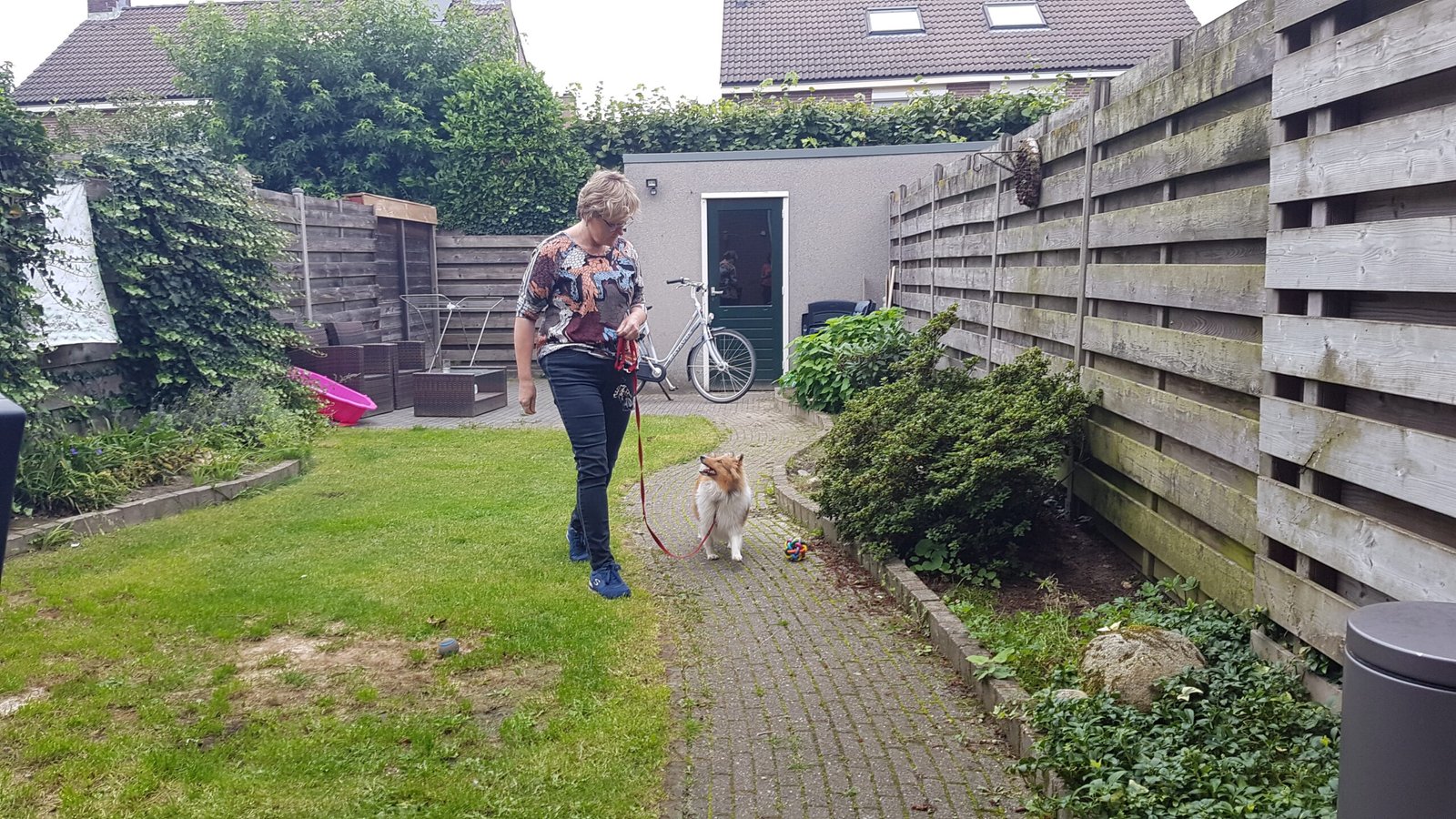 Puppythuis training lopen zonder trekken
